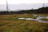Image of landscape
