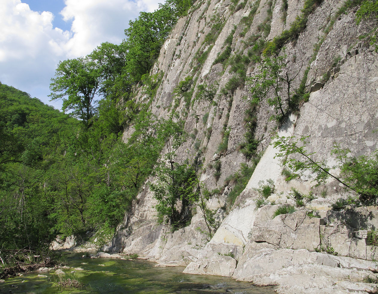 Скобидо, image of landscape/habitat.