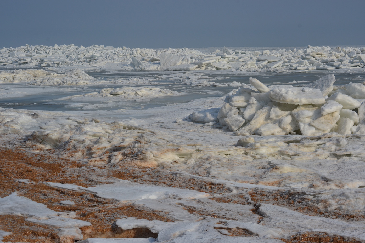 Арабатская стрелка, image of landscape/habitat.