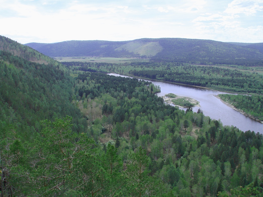 Введенщина, image of landscape/habitat.