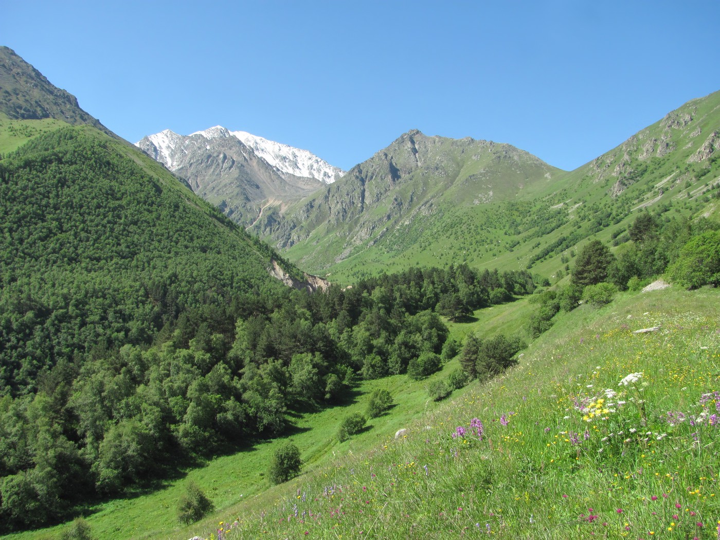 Долина реки Каяртысу, image of landscape/habitat.