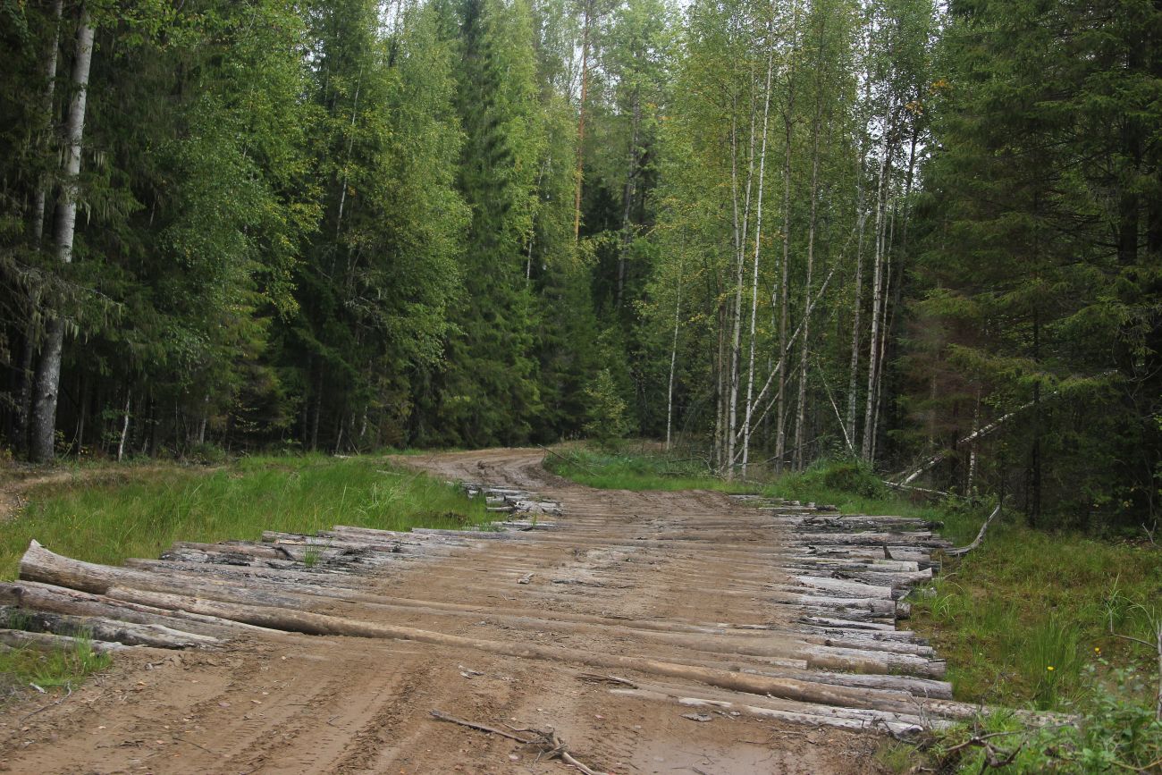 Бассейн реки Княжая, image of landscape/habitat.