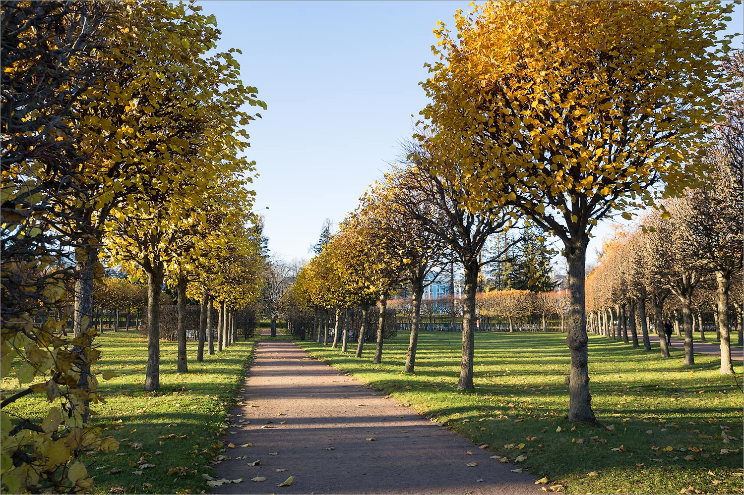 Город Пушкин, image of landscape/habitat.