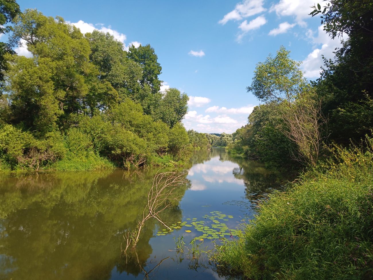 Окрестности урочища Вётлы, image of landscape/habitat.