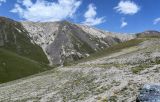 Image of landscape