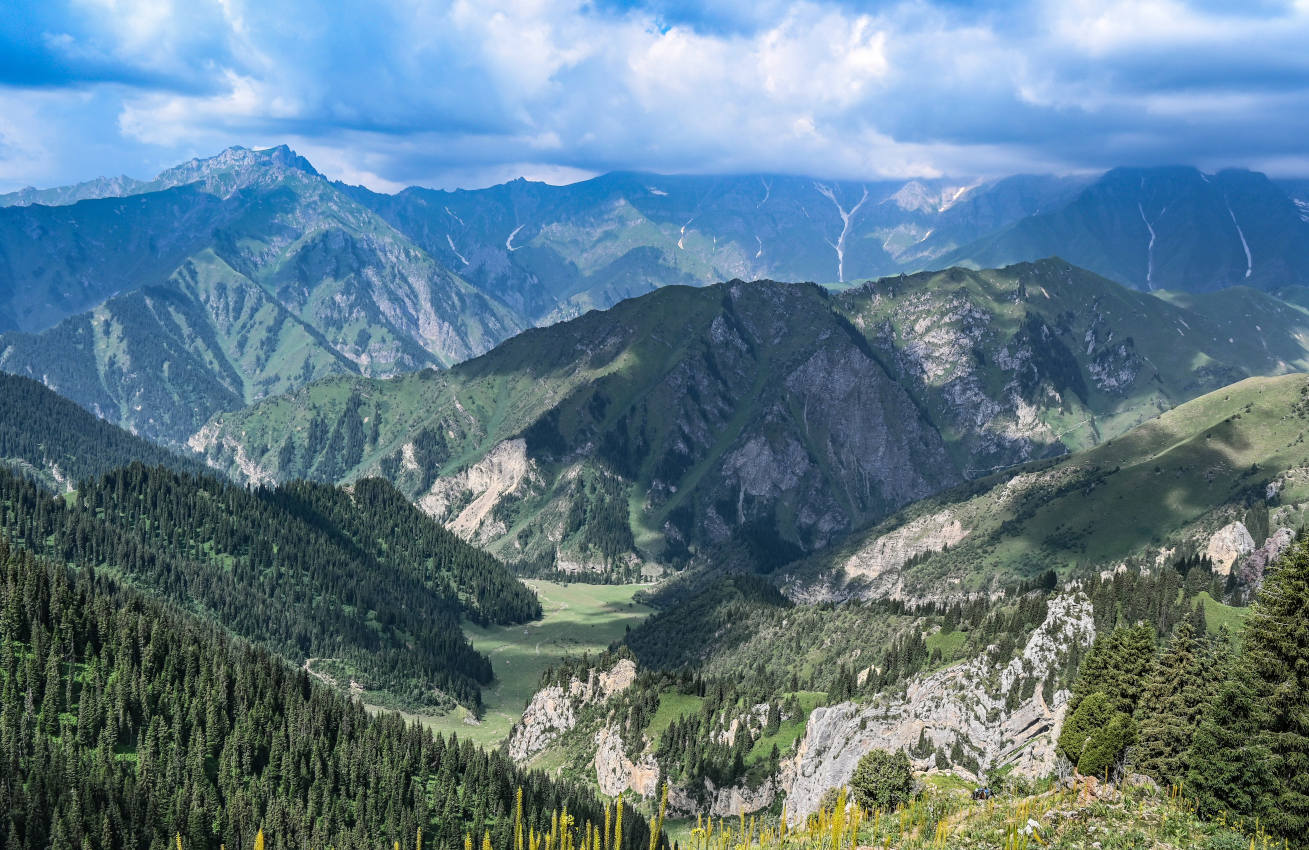 Перевал Кульдамбес, image of landscape/habitat.