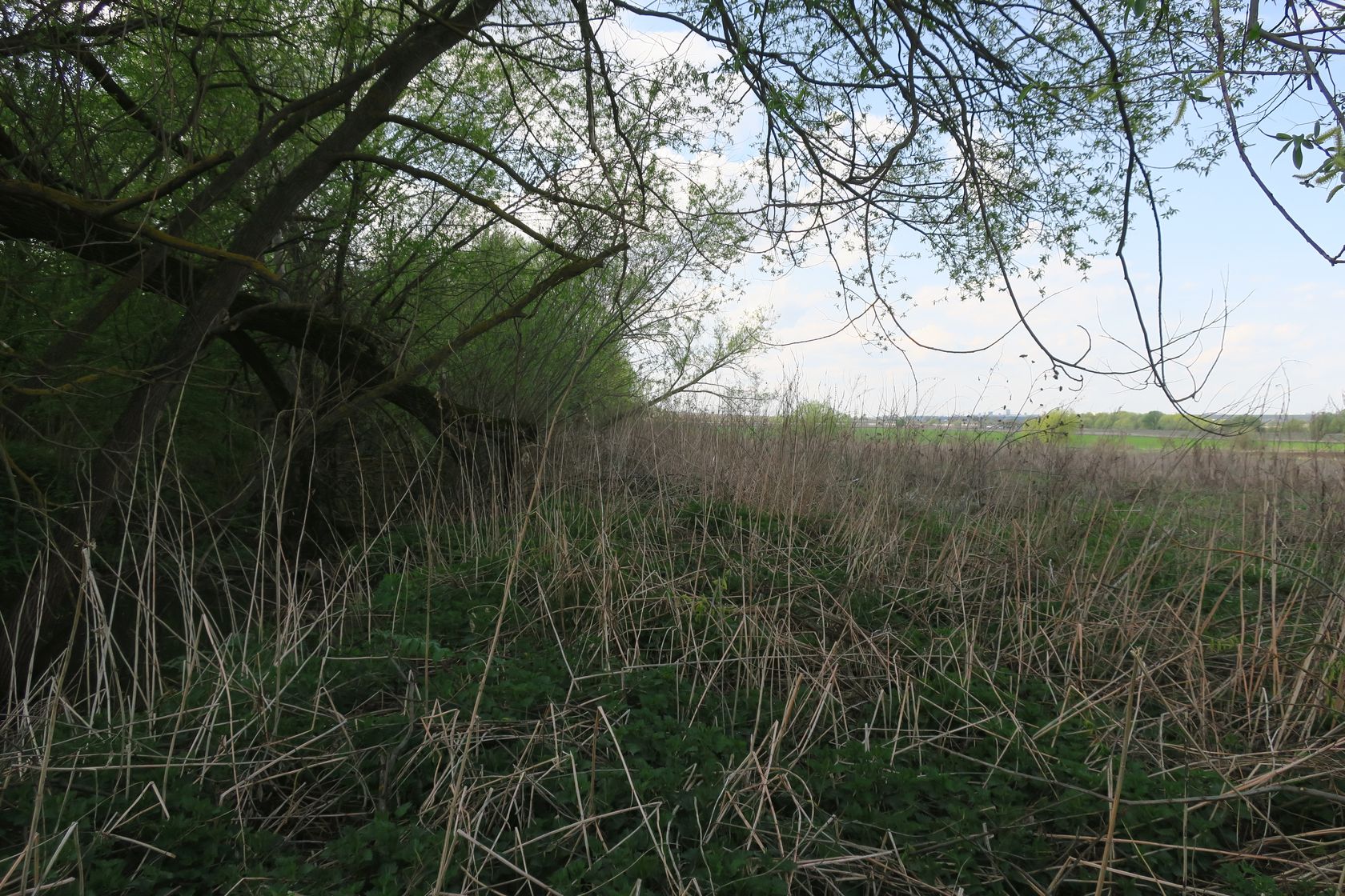 Вечери, image of landscape/habitat.