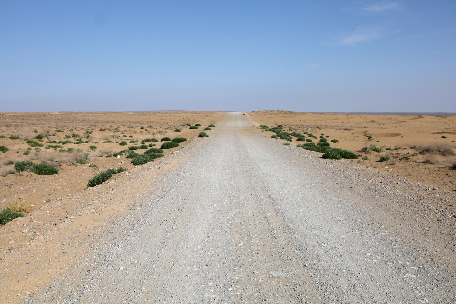 Казахтау, image of landscape/habitat.