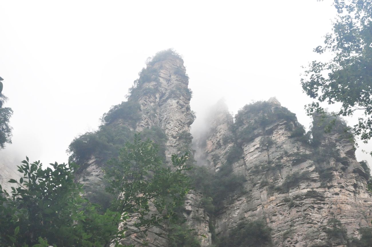 Долина ручья Золотой Кнут, image of landscape/habitat.