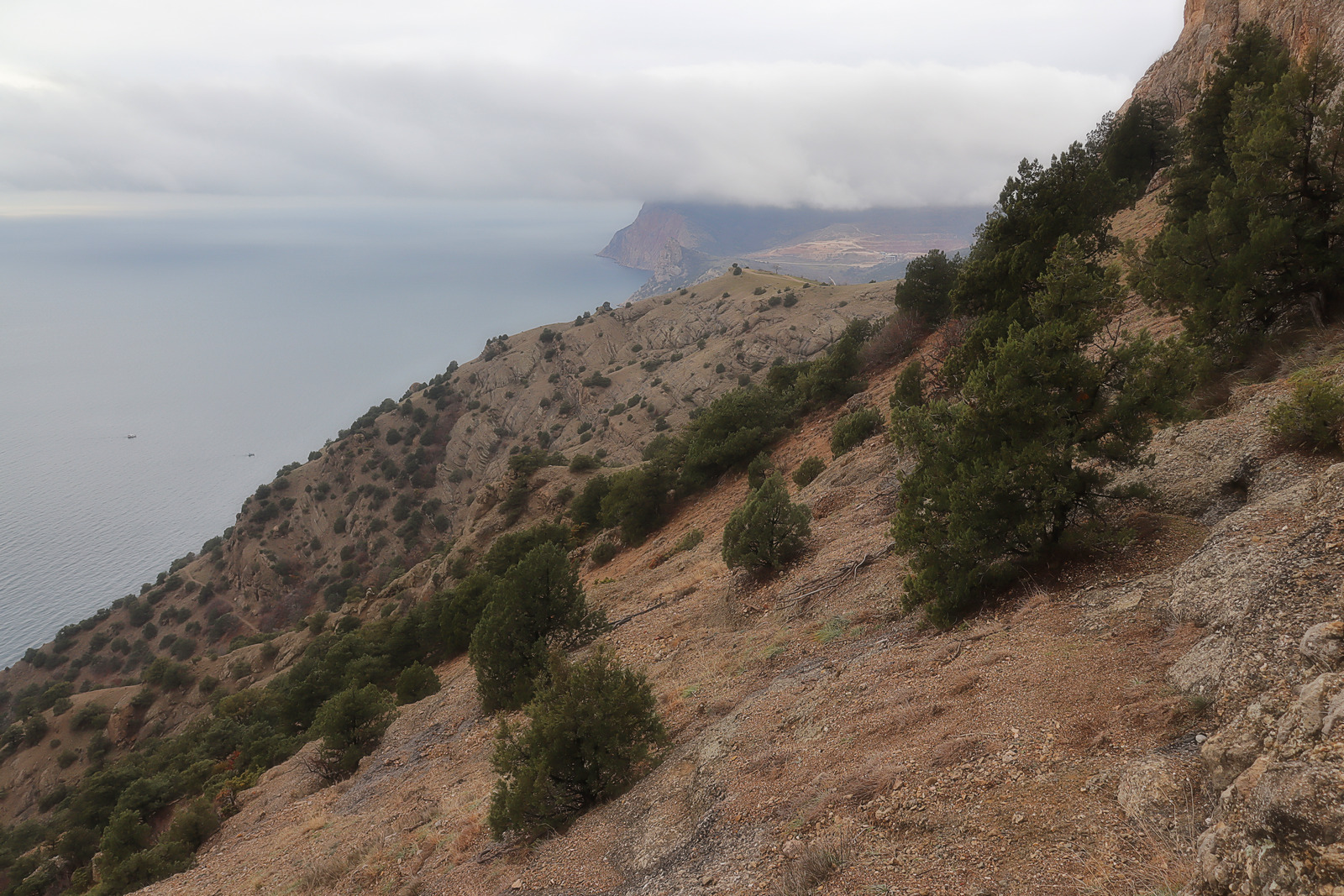 Балаклавские высоты, image of landscape/habitat.