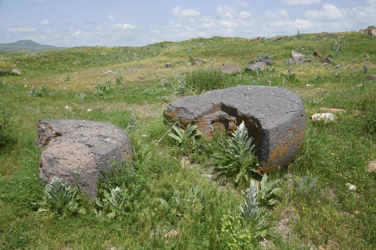 Окрестности бывшего города Ани, image of landscape/habitat.