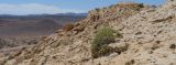 Image of landscape