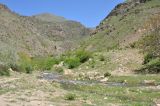Спитакавор, image of landscape/habitat.