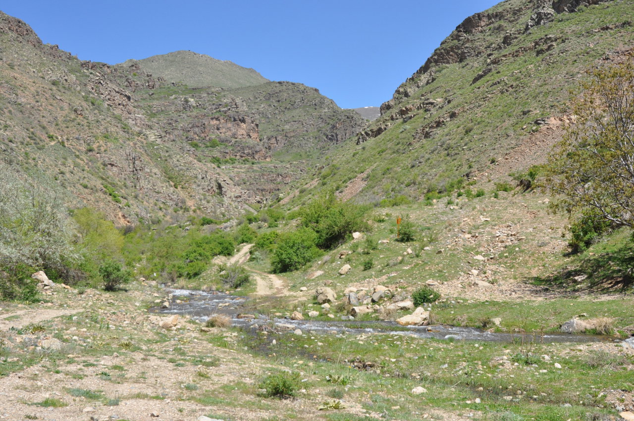 Спитакавор, image of landscape/habitat.