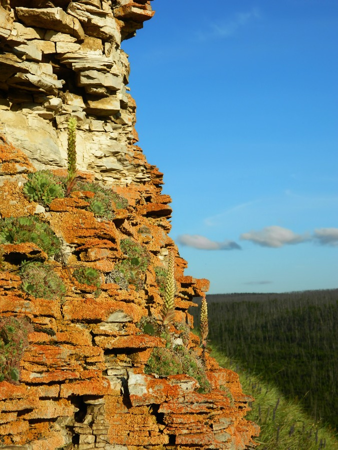 Буотама, image of landscape/habitat.