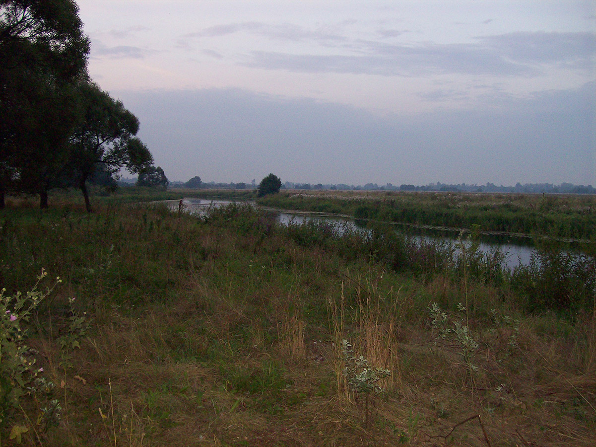 Нижнее течение реки Усожи 2, изображение ландшафта.