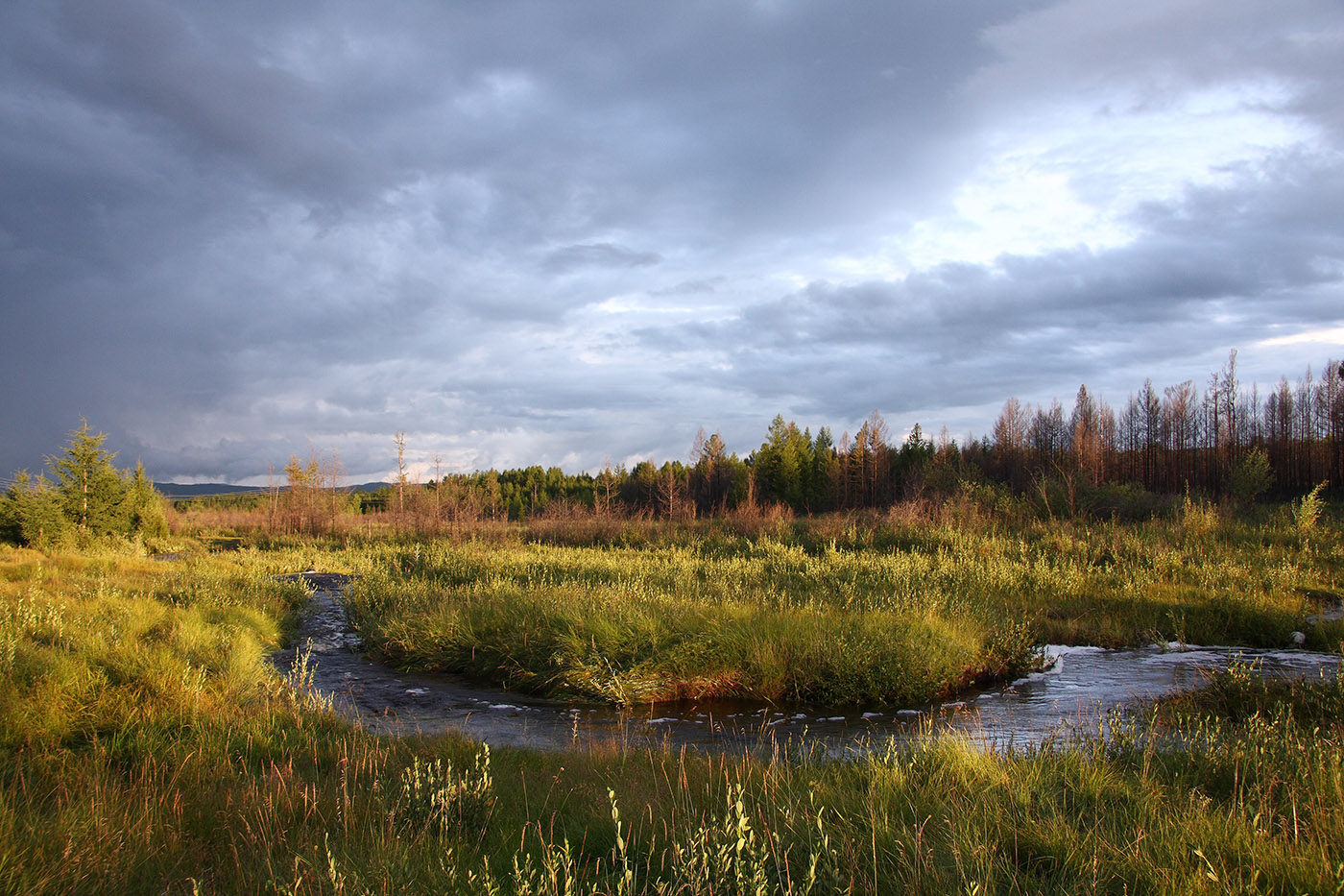 Окрестности Северного, image of landscape/habitat.