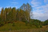 Окрестности деревни Полетаево, image of landscape/habitat.