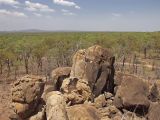 Undara Volcanic, image of landscape/habitat.