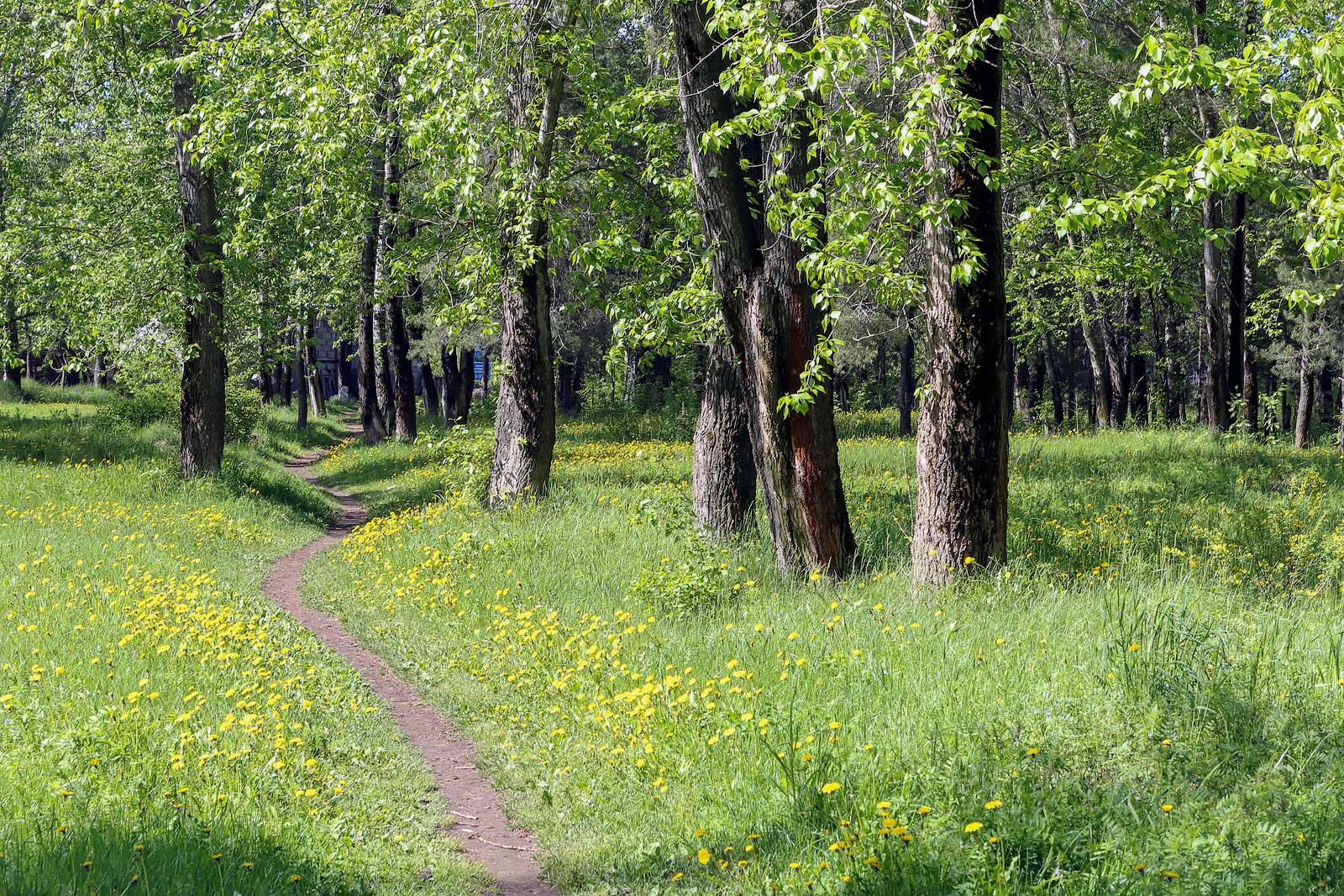 Закамск, image of landscape/habitat.