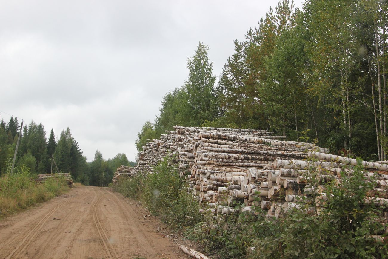 Бассейн реки Княжая, image of landscape/habitat.