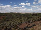 Image of landscape