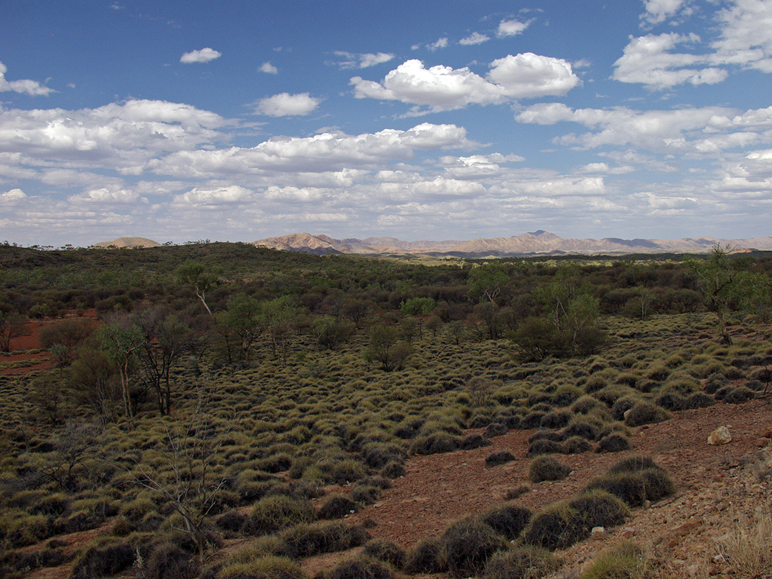 Alice Springs и окрестности, изображение ландшафта.