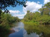 Окрестности урочища Вётлы, image of landscape/habitat.