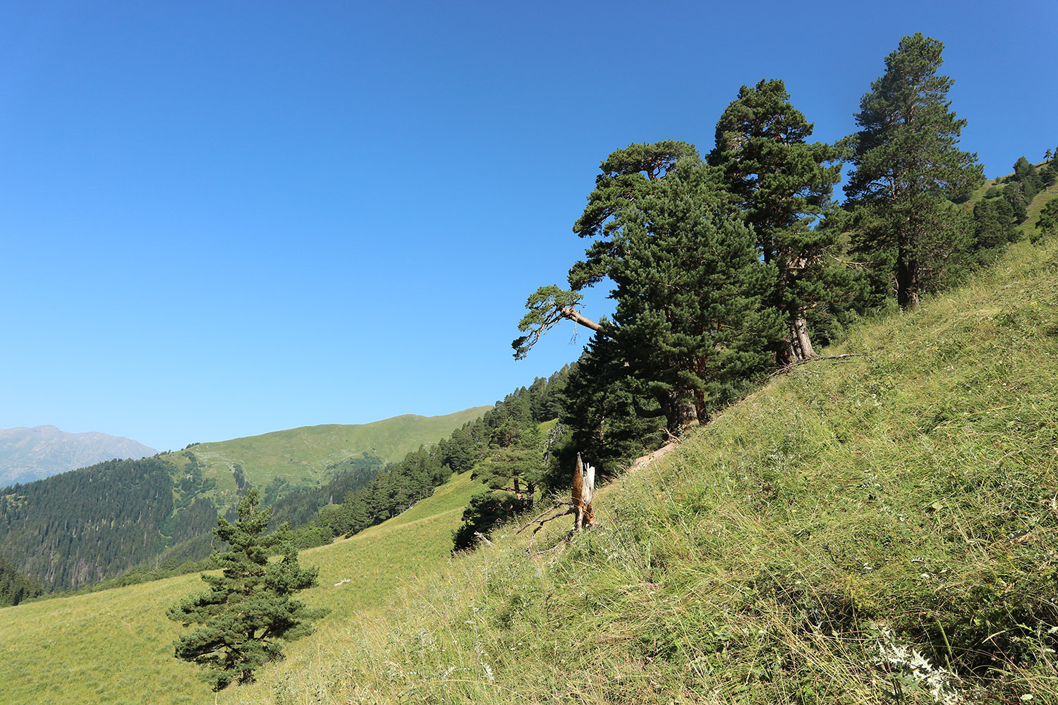 Долина реки Загедан, image of landscape/habitat.