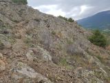 Image of landscape
