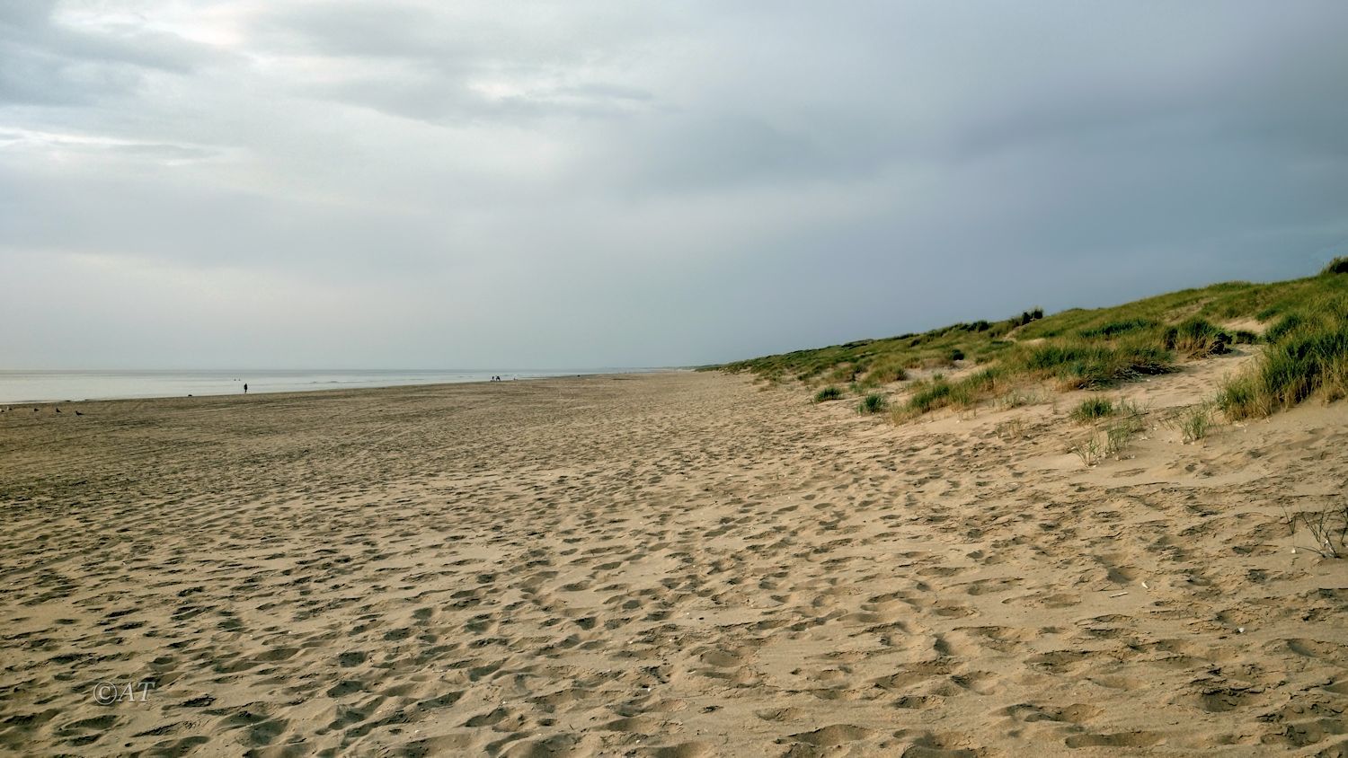Схевенинген, image of landscape/habitat.