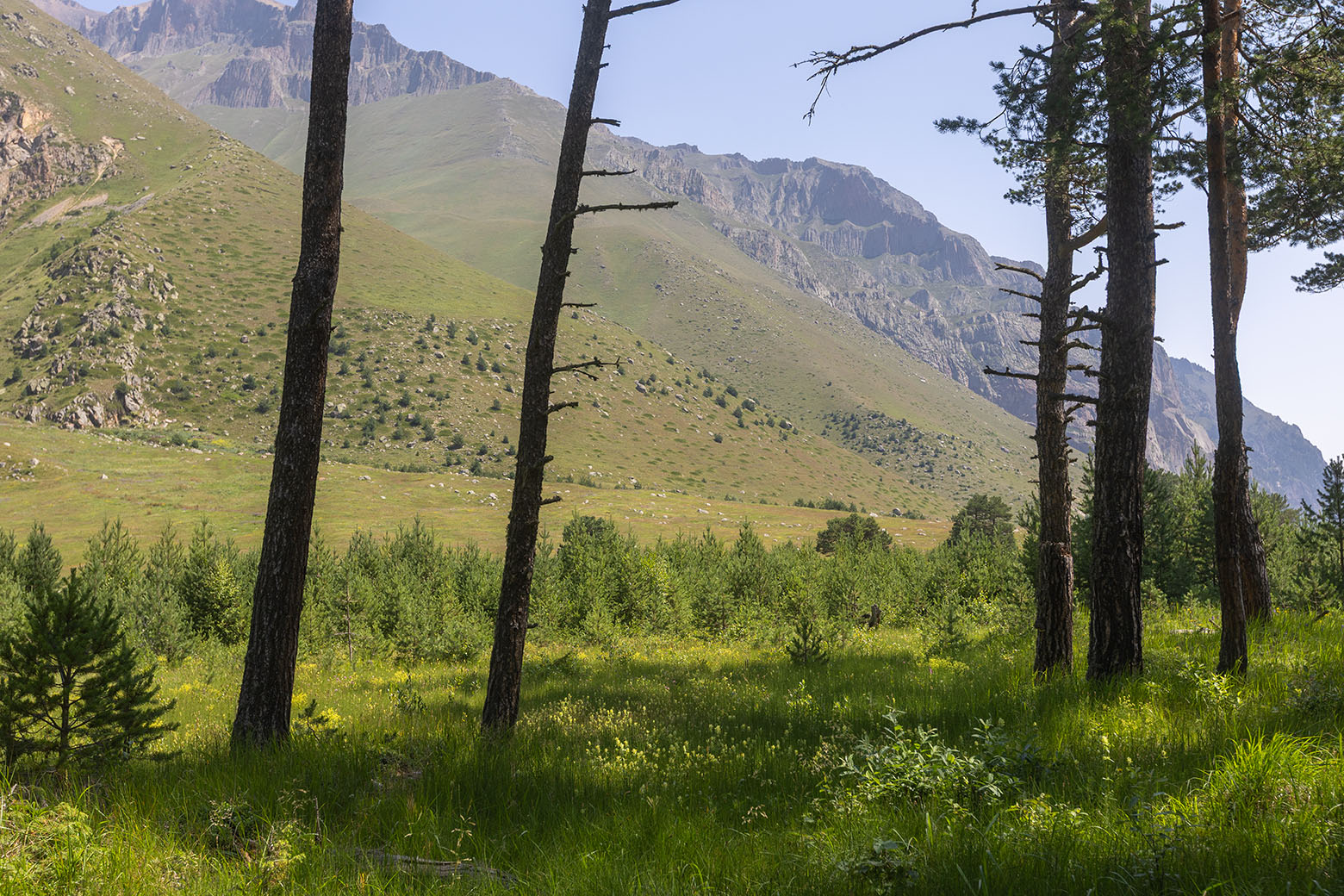 Башиль, image of landscape/habitat.