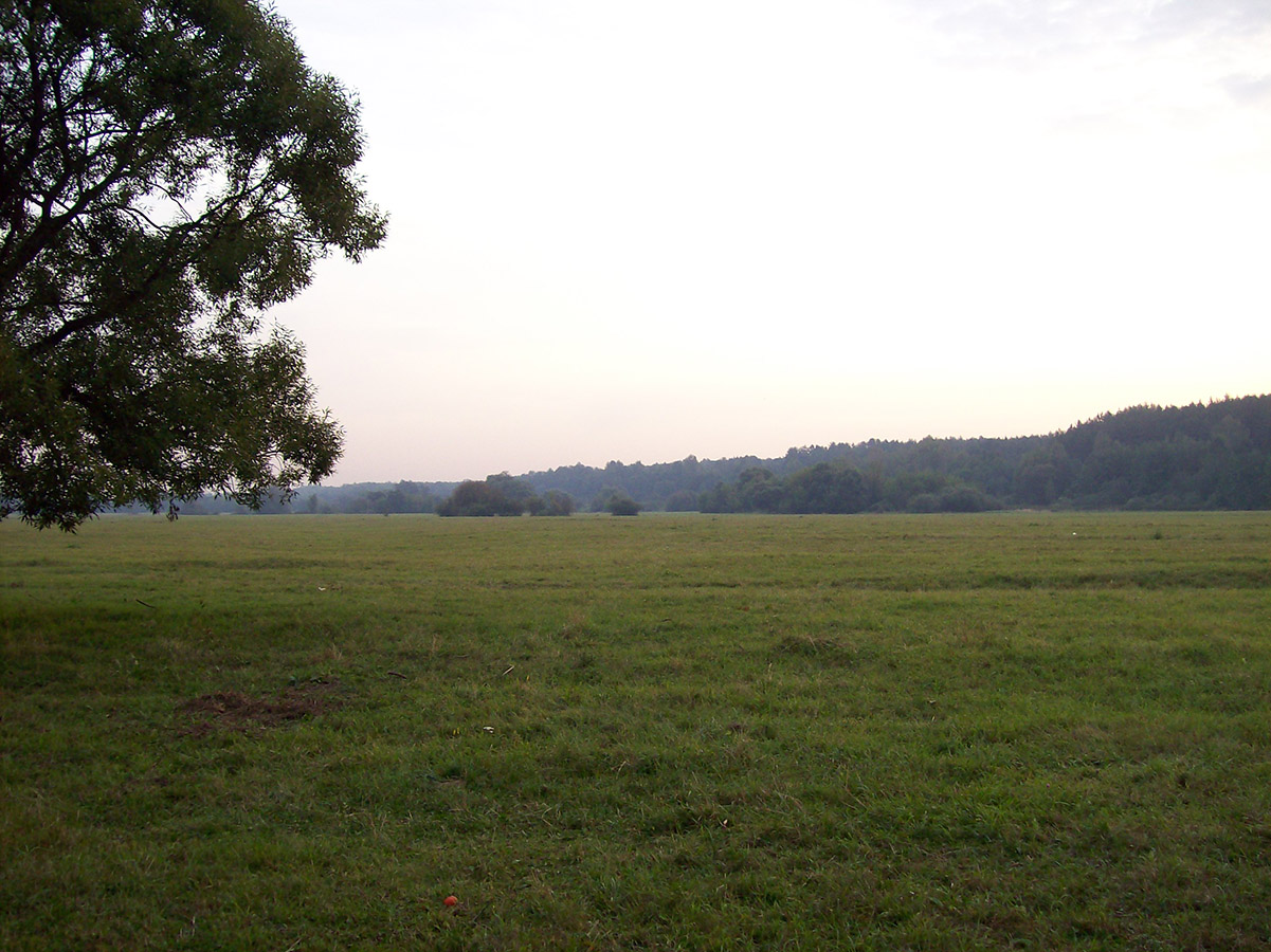 Нижнее течение реки Усожи 2, image of landscape/habitat.