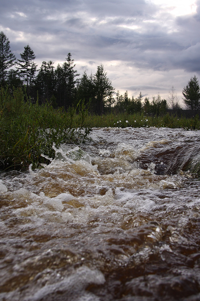 Окрестности Северного, image of landscape/habitat.