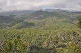 Image of landscape
