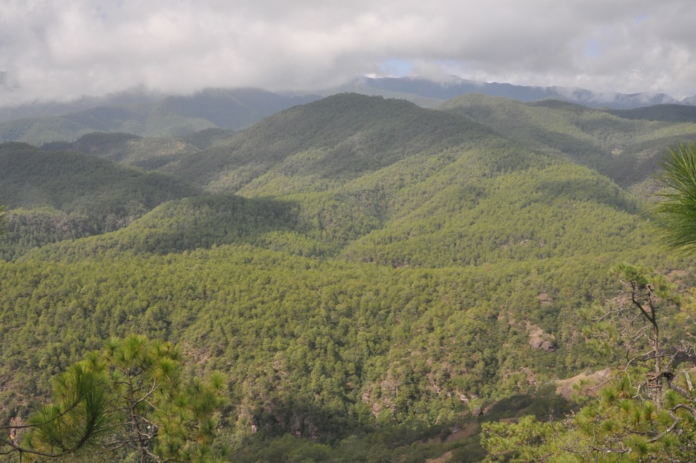 Окрестности храма Шицзхон, image of landscape/habitat.