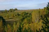 Image of landscape