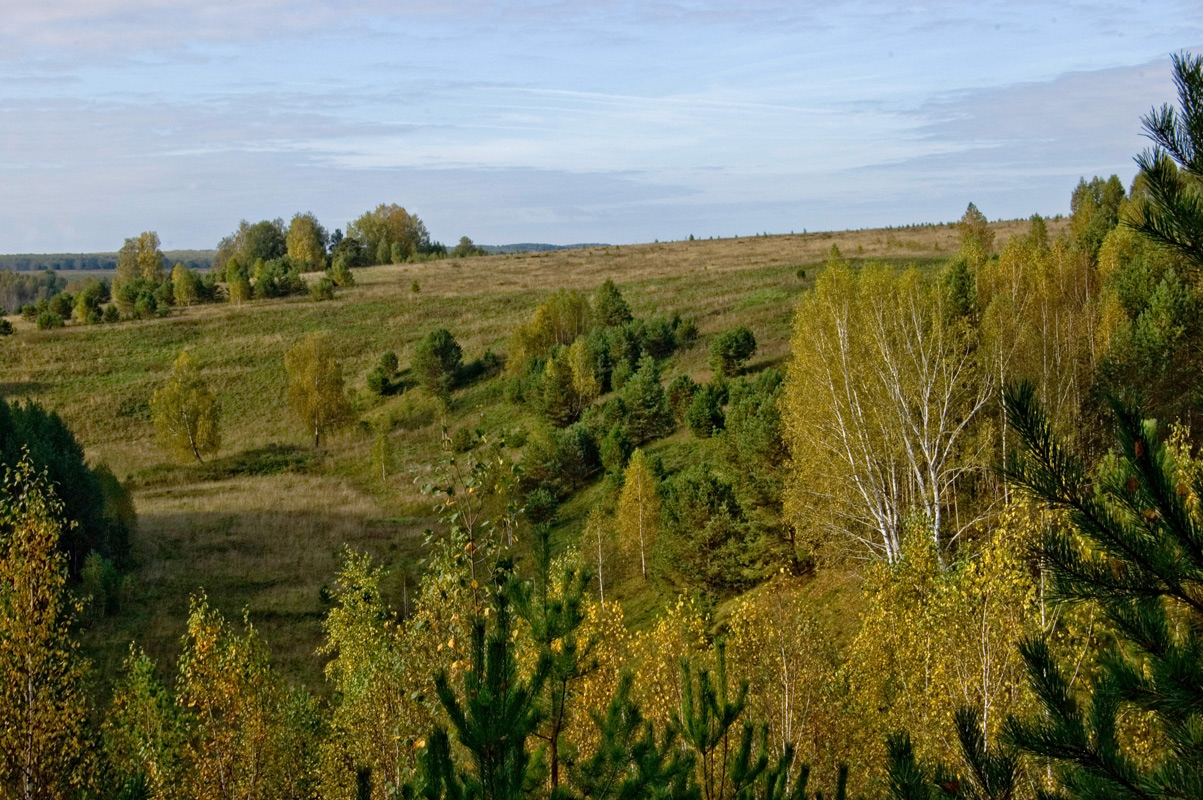 Окрестности деревни Полетаево, image of landscape/habitat.