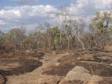 Undara Volcanic, image of landscape/habitat.