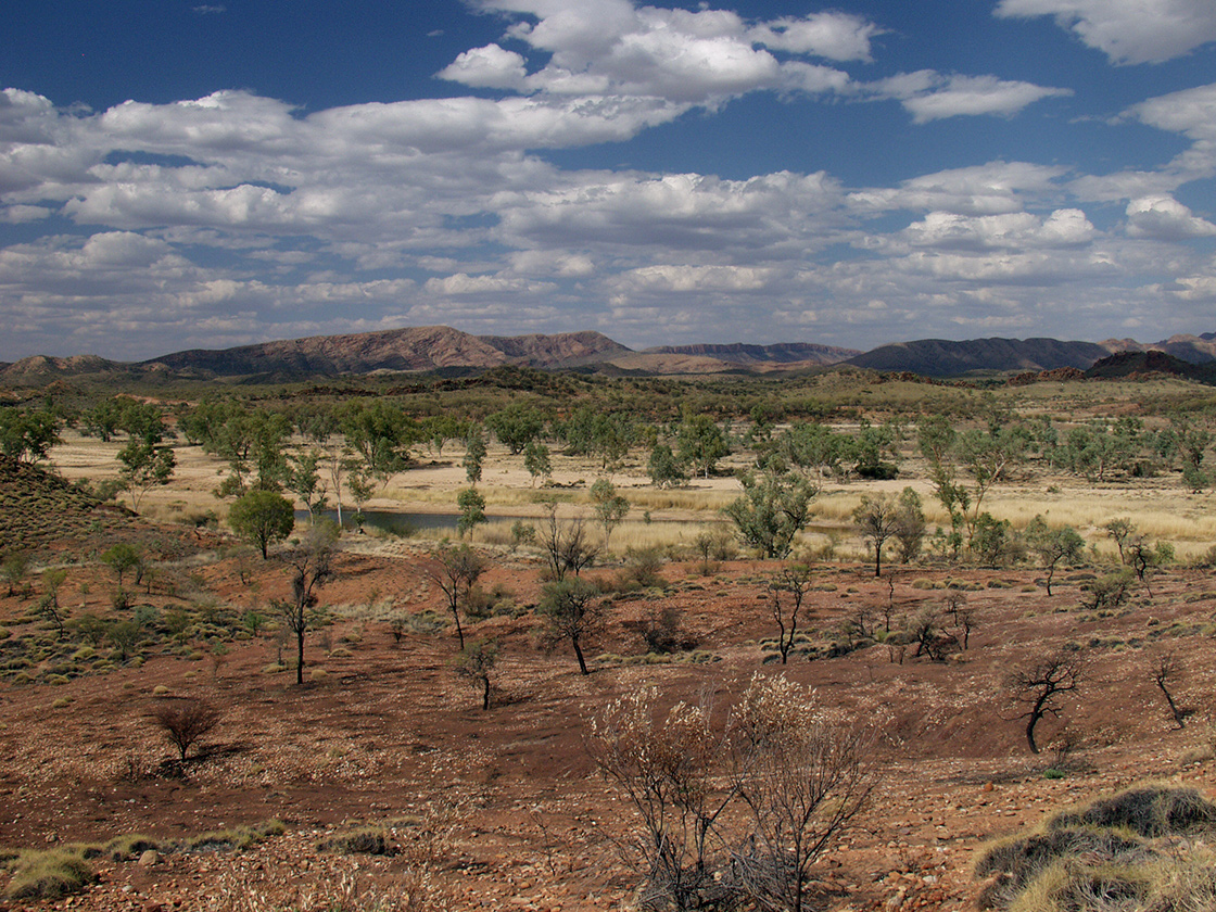 Alice Springs и окрестности, изображение ландшафта.