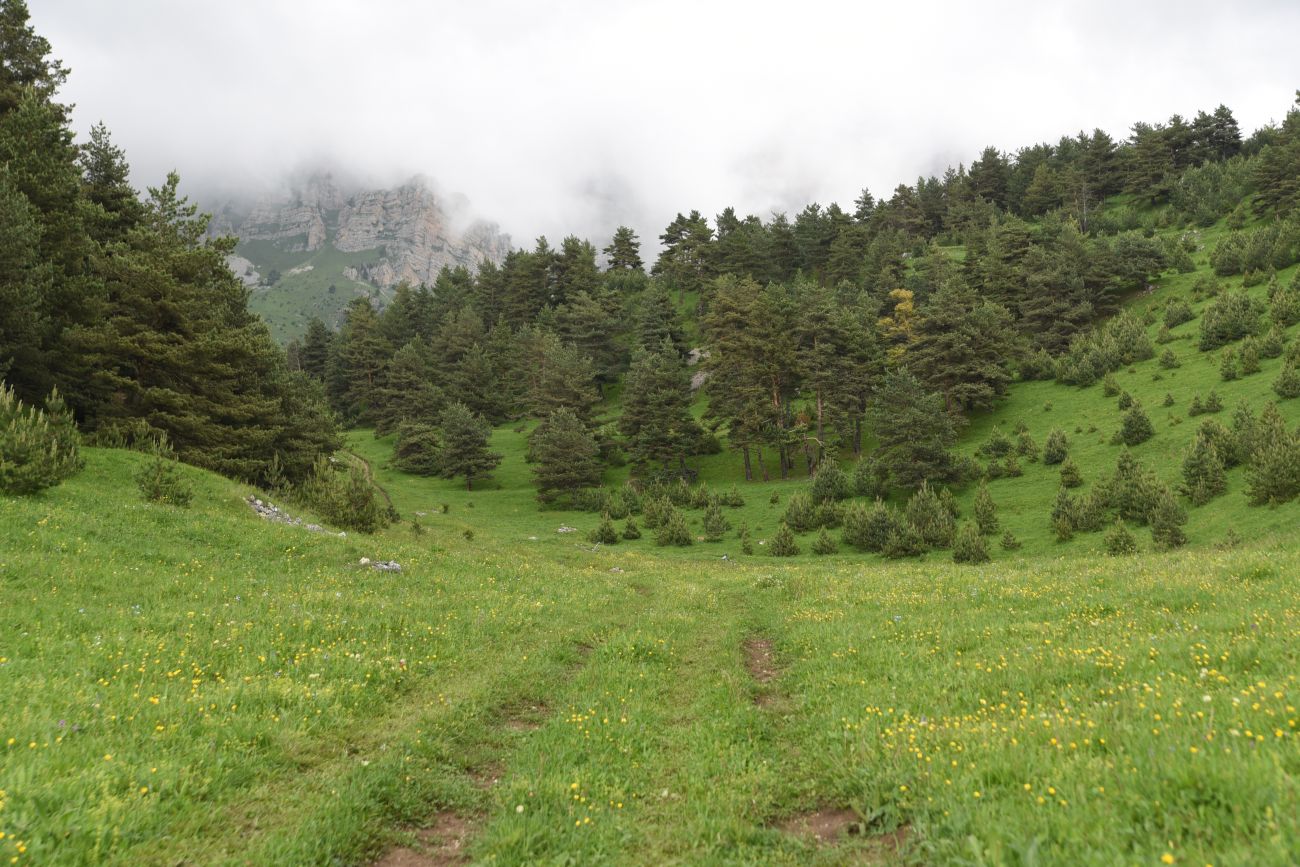 Окрестности урочища Никойте, image of landscape/habitat.