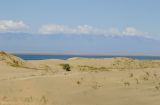 Landscape image