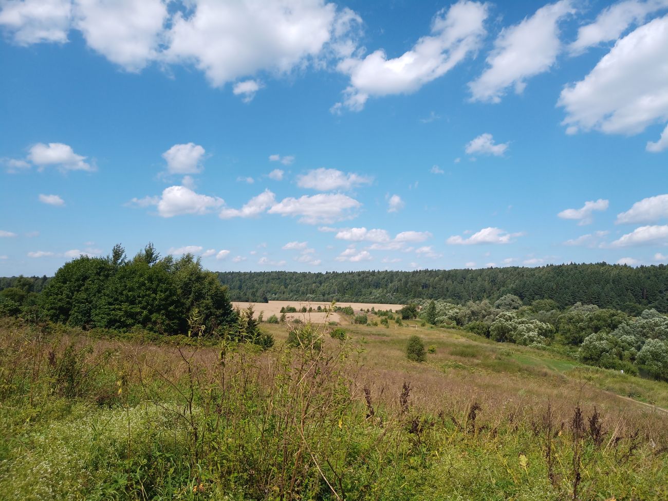 Окрестности деревни Беницы, image of landscape/habitat.