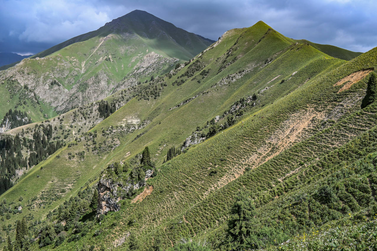 Перевал Кульдамбес, image of landscape/habitat.