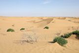 Image of landscape