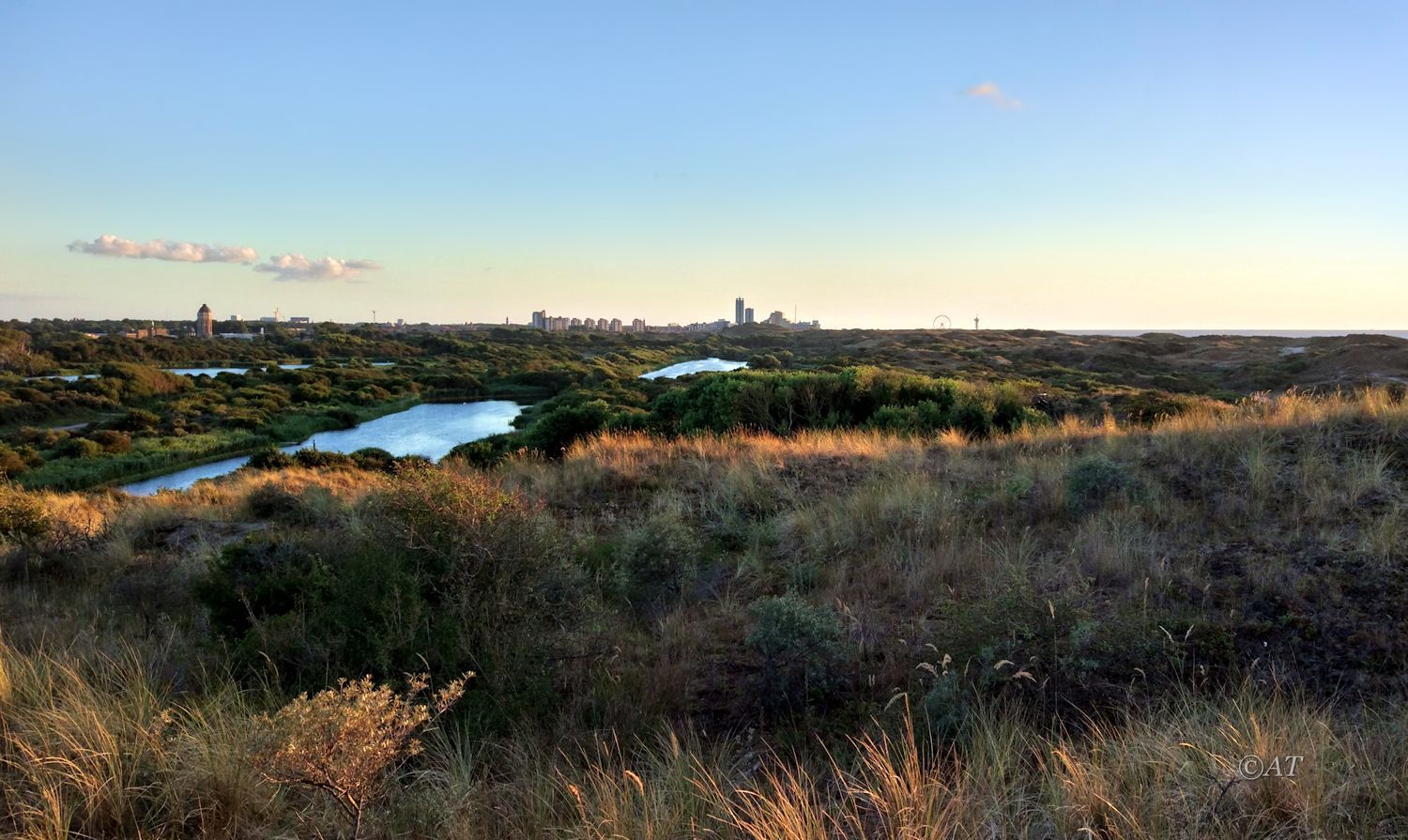 Схевенинген, image of landscape/habitat.