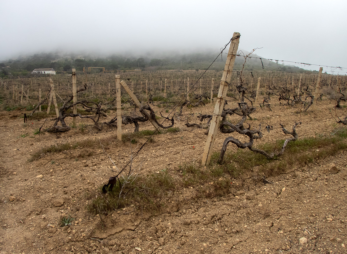Гора Лысая (Голая), image of landscape/habitat.