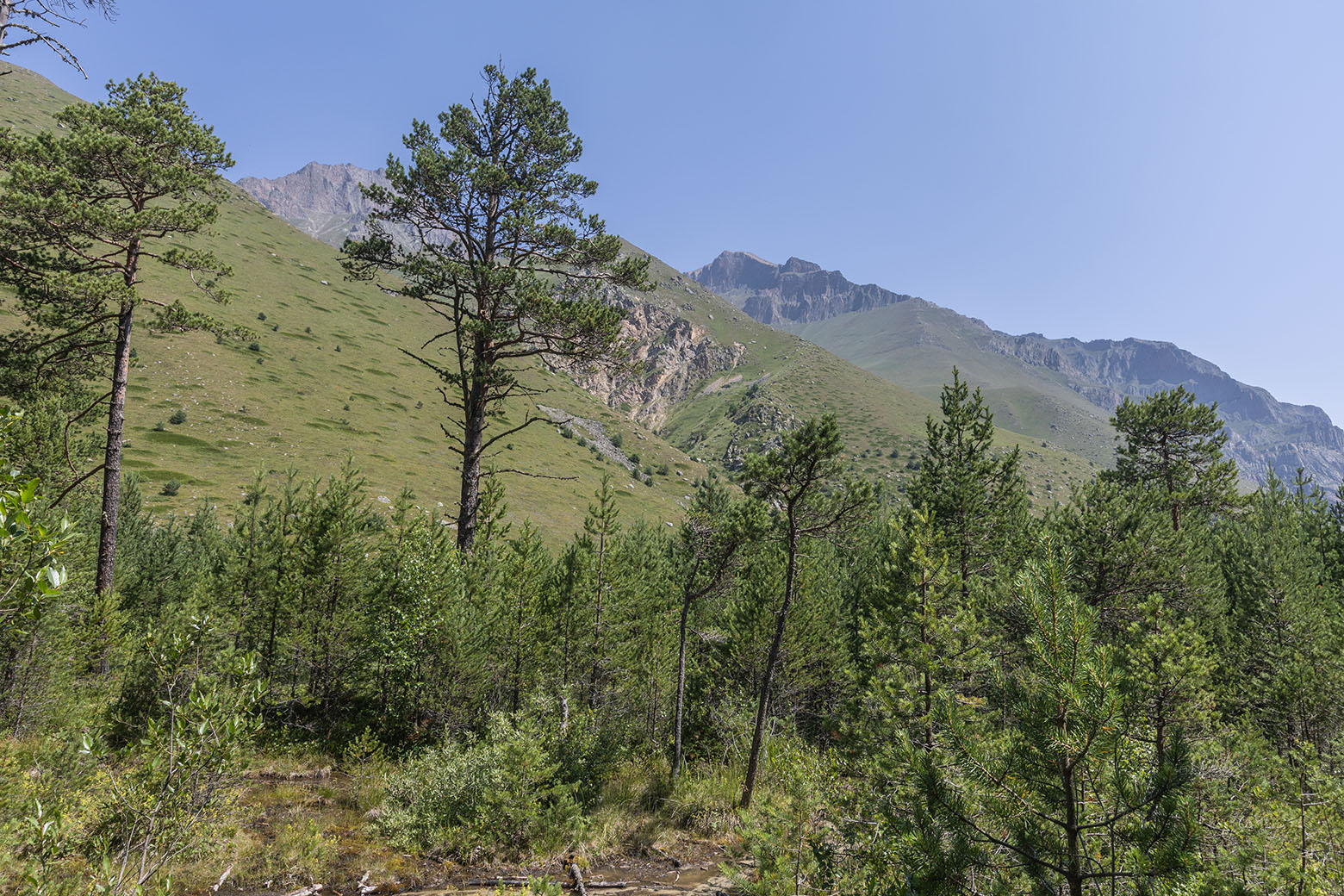 Башиль, image of landscape/habitat.