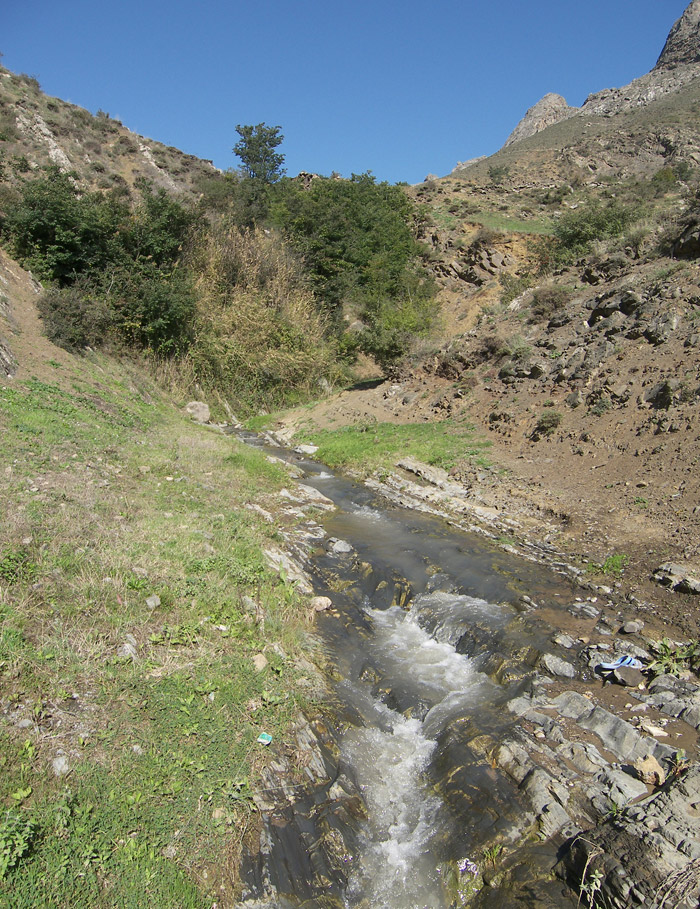 Зуванд, image of landscape/habitat.