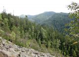 Image of landscape